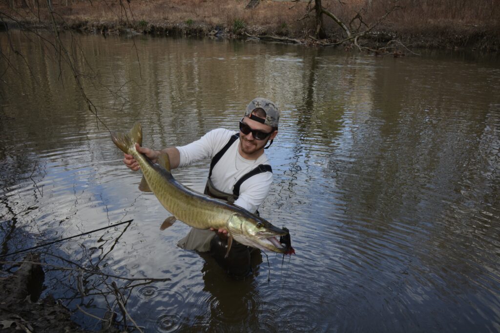 Mike Komara with a musky caught fly fishing