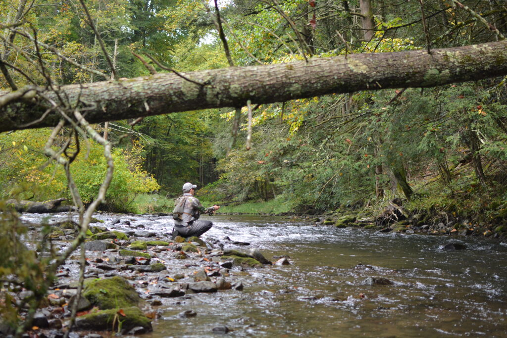 An angler fly fishing Fishing Creek on a guide trip in Central Pennsylvania