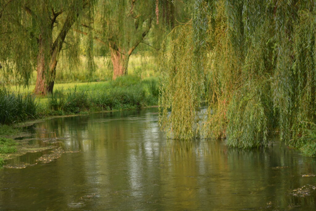 The Letort Spring run at sunset