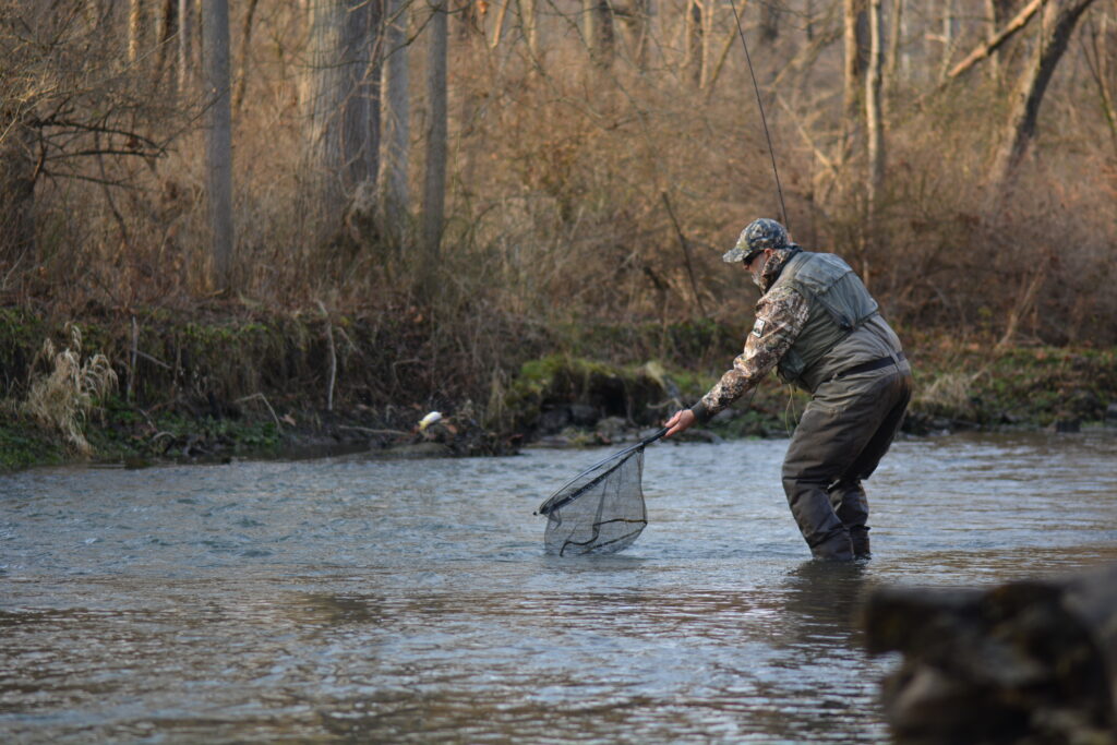 An angler fishing Spring Creek on a guide trip