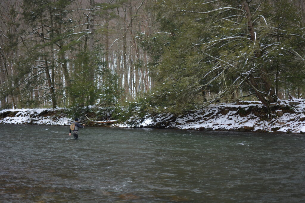 An angler fly fishing Penns Creek in Central Pennsylvania