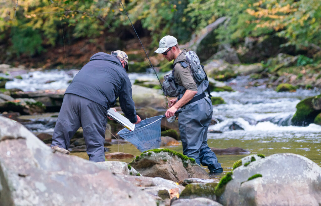 Mike Komara scoring a trout at a fly fishing competition