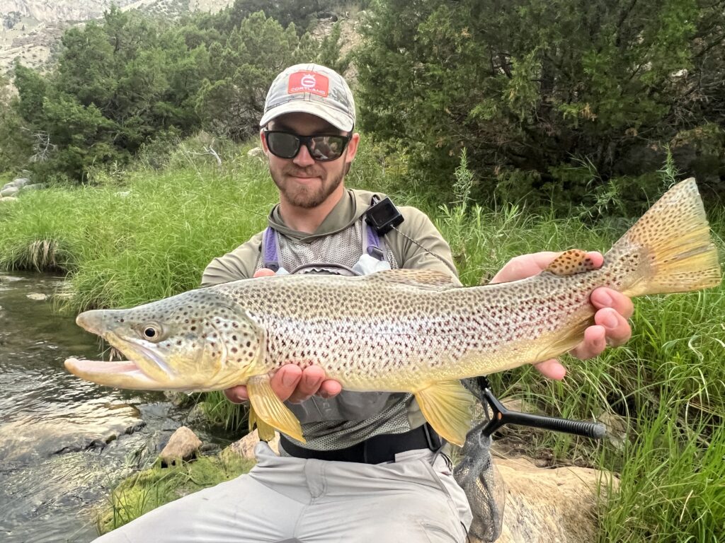 Mike Komara with a large western brown trout caught fly fishing