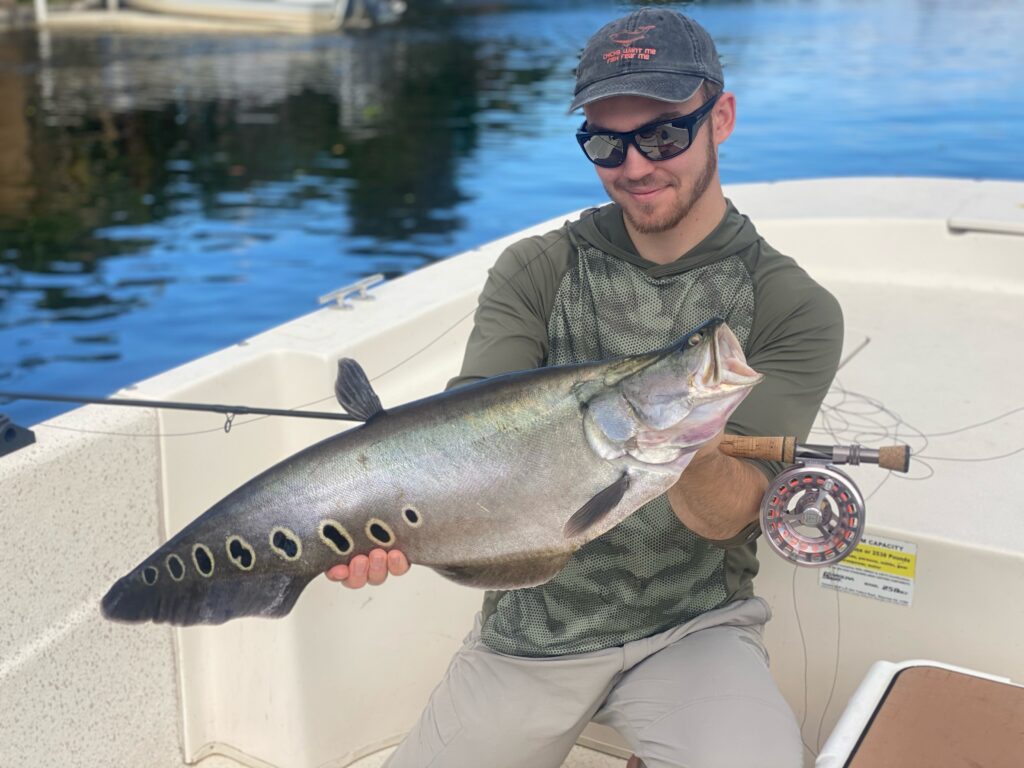 Mike Komara with a clown knife fish caught fly fishing