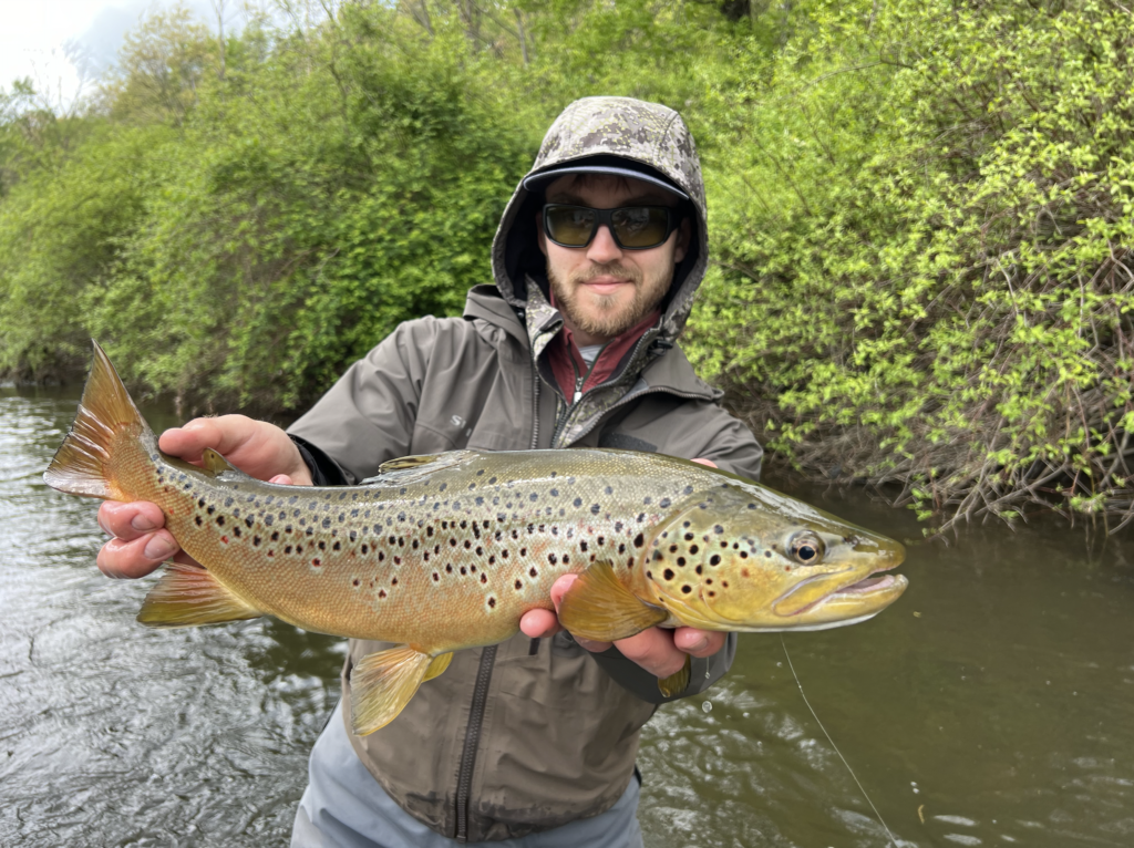 Mike Komara with a large brown trout from Central Pennsylvania