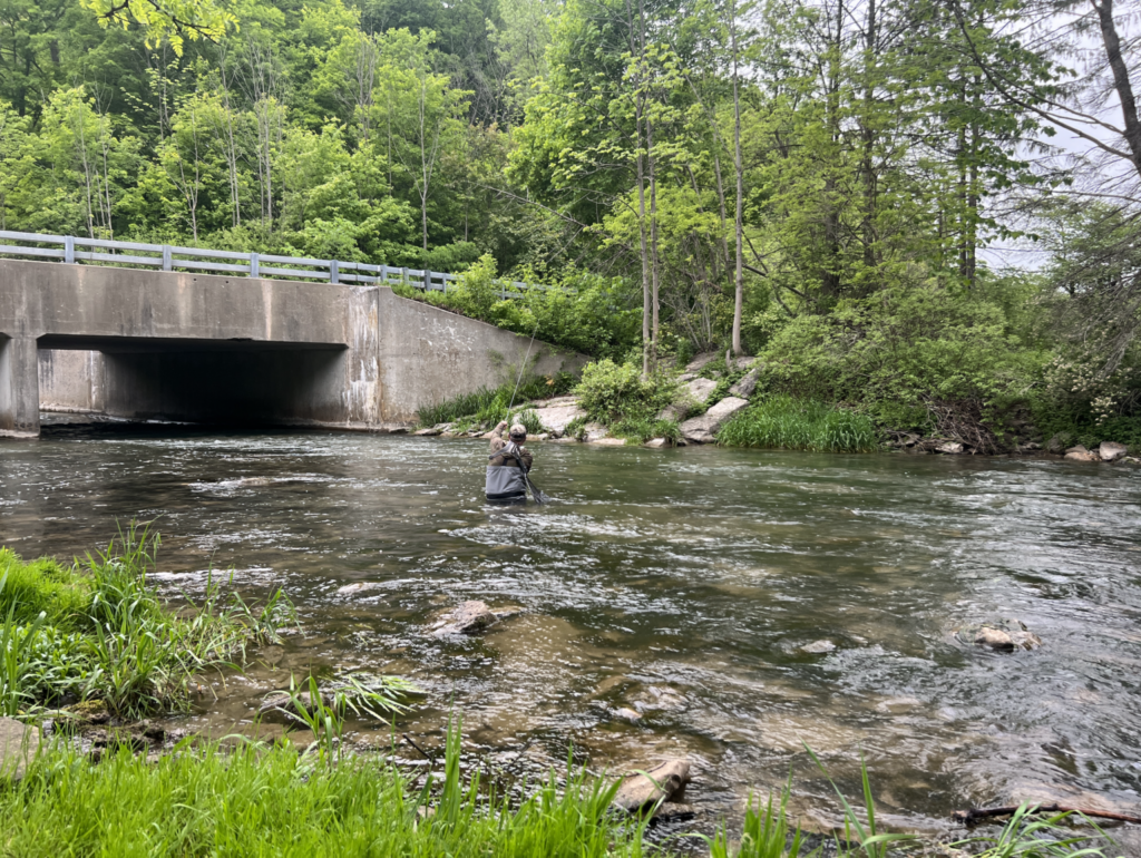 New York Regional Session One- Upper Nine Mile Creek - New York Regional Session One- Upper Nine Mile Creek -
