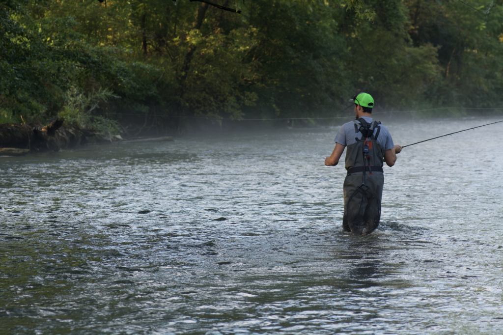 An angler fishing dry flies on Lower Spring Creek