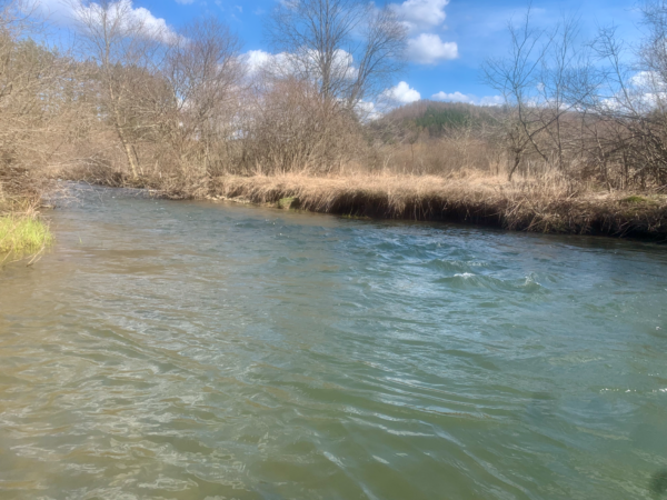 A pennsylvania river in the spring