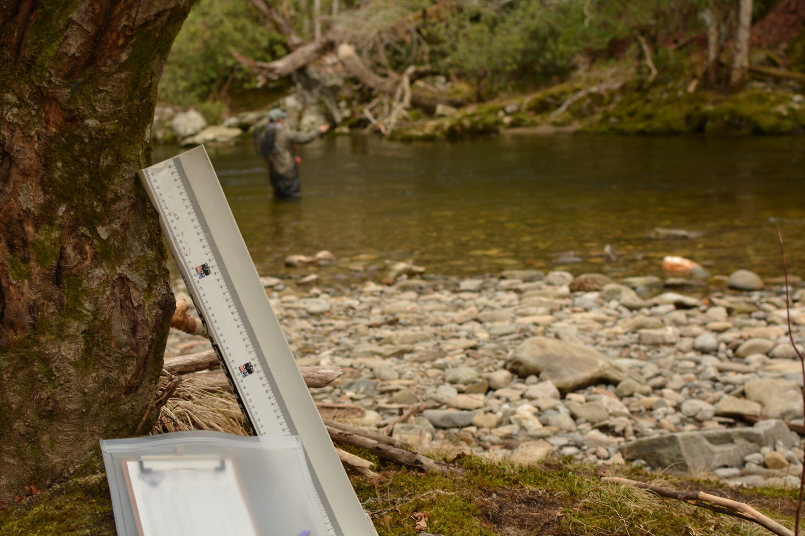 A competitive fly fishing trough and score sheet
