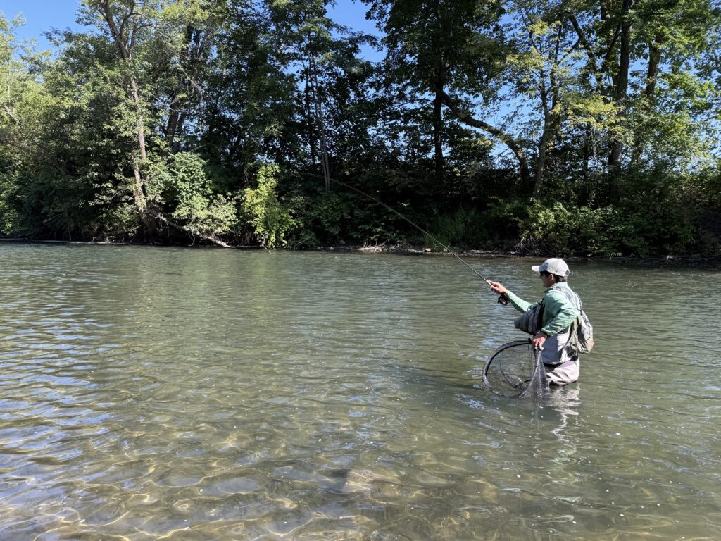 An angler fly fishing a long, slow flat