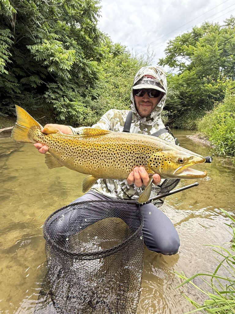 Mike Komara with a large New Zealand brown trout