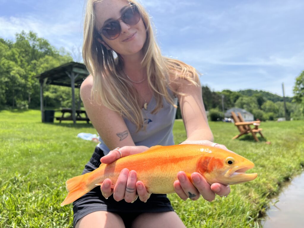 A female fly angler with a palomino trout