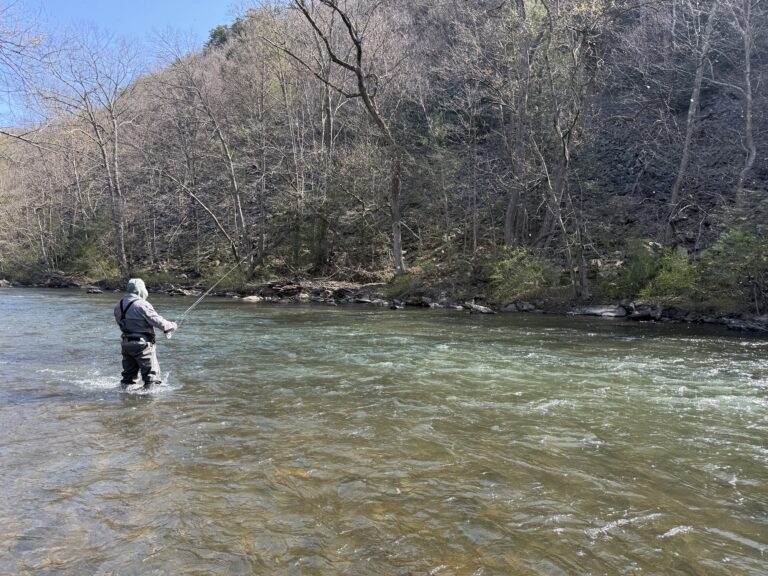 An angler euro nymphing during the start of the Grannom hatch in central PA