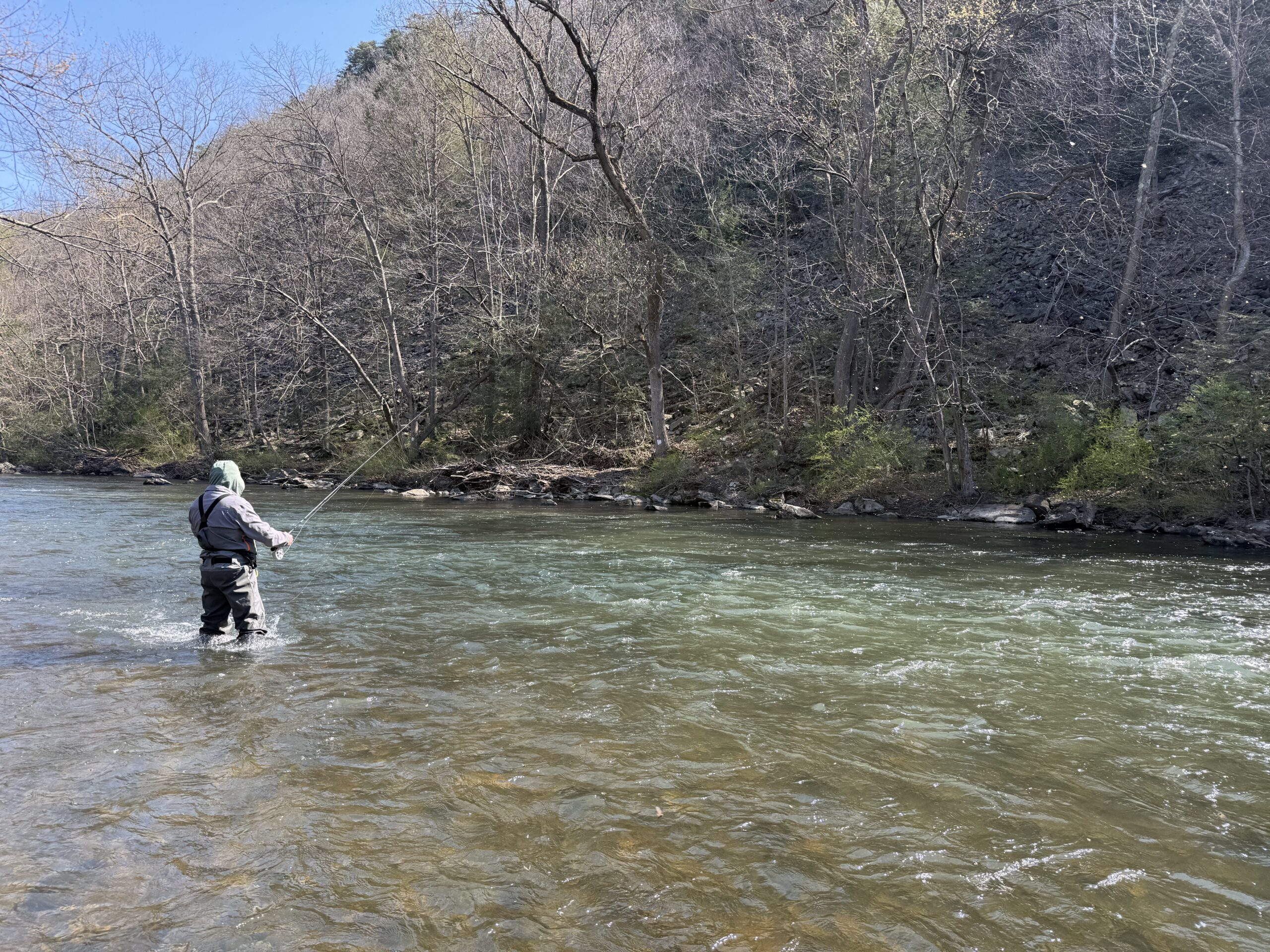 An angler euro nymphing during the start of the Grannom hatch in central PA