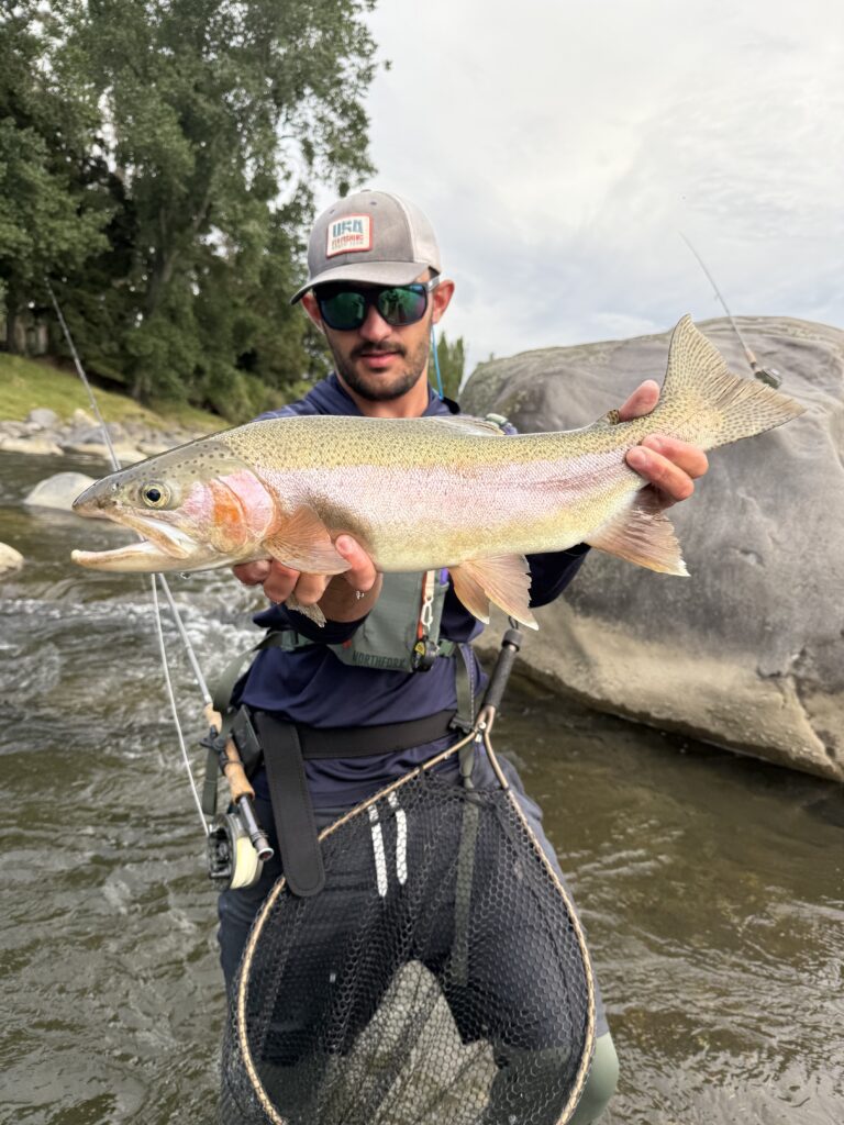 An angler with a euro nymphed New Zealand Rainbow trout